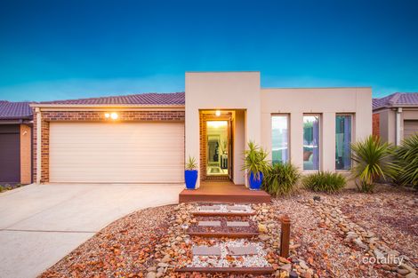 Property photo of 17 Solander Grove Tarneit VIC 3029