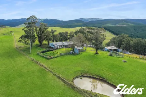 Property photo of 147 D P Moores Road Jack River VIC 3971