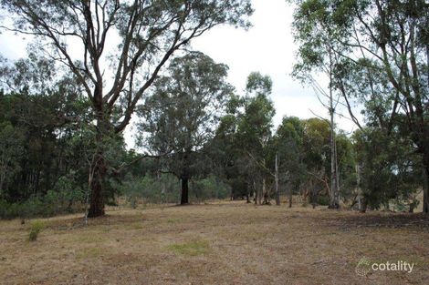 Property photo of 250 Banumum Road Mansfield VIC 3722