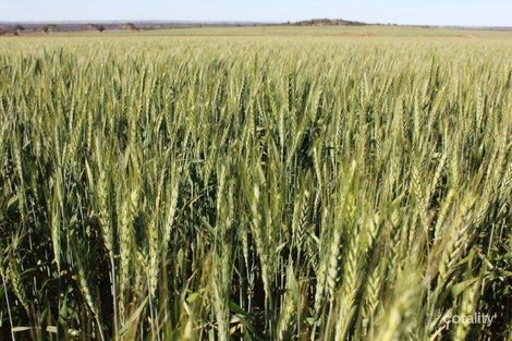 254 Hewitt Rd, Baandee, WA 6412