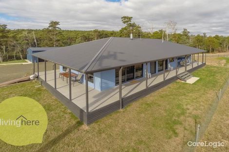 Property photo of 261 Colgraves Road Pipers River TAS 7252