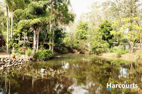 Property photo of 18 Andersen Street Apple Tree Creek QLD 4660