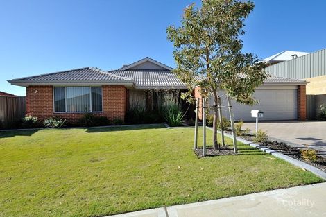 Property photo of 31 Chipping Crescent Wellard WA 6170