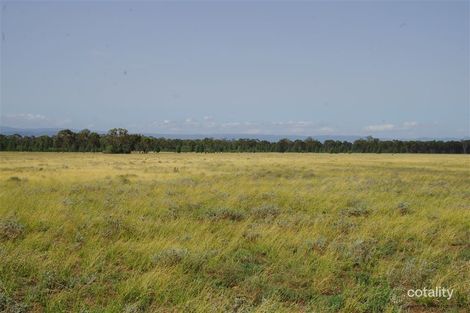 458 Mayfield Rd, Baan Baa, NSW 2390