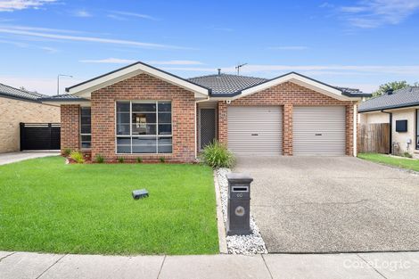 Property photo of 60 Buckingham Street Amaroo ACT 2914