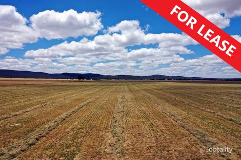 479 Munros Rd, Rankins Springs, NSW 2669