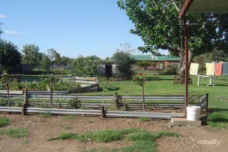 Property photo of 59 Warialda Street Pallamallawa NSW 2399