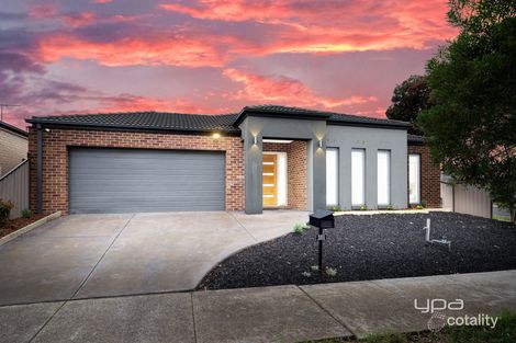 45 Wylie Cct, Burnside Heights, VIC 3023