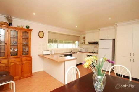 Property photo of 19 Crowley Court Pascoe Vale VIC 3044