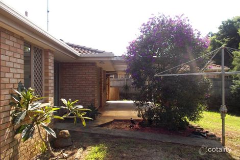 Property photo of 31 Glen Ayr Drive Banora Point NSW 2486