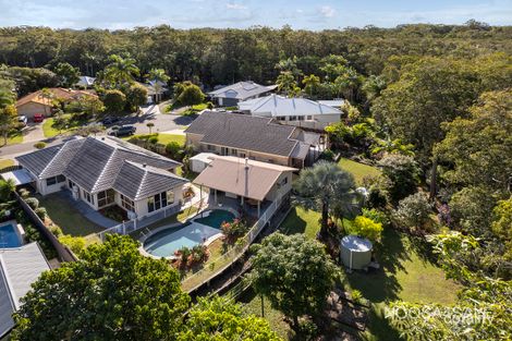 Property photo of 19 Bluebell Court Noosaville QLD 4566