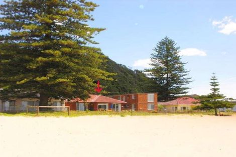 Property photo of 143 Avoca Drive Avoca Beach NSW 2251
