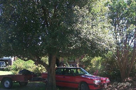 11 Dowle St, Bellingen, NSW 2454