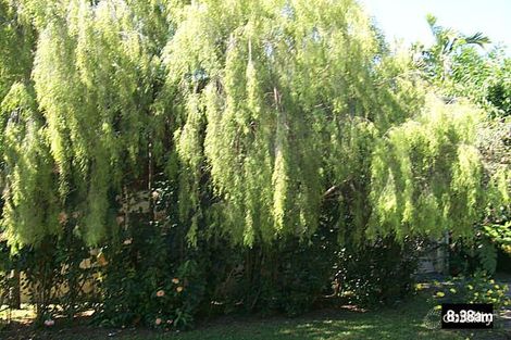 63 Waite St, Machans Beach, QLD 4878