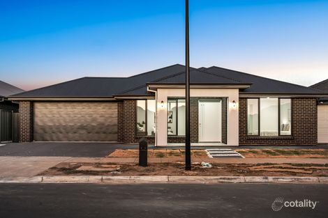 60 Corymbia Ave, Riverlea Park, SA 5120