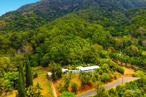 Property photo of 52 Robb Road Redlynch QLD 4870