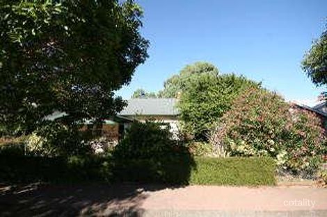 6 Olive Gr, Westbourne Park, SA 5041