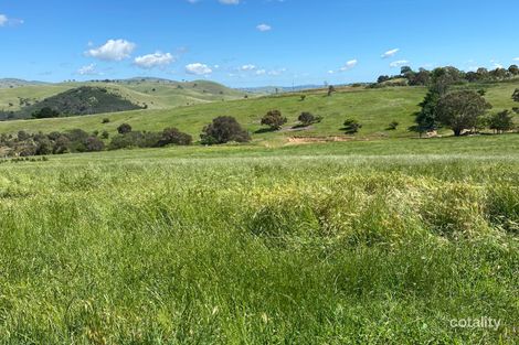 Property photo of 13 McCarthy Road Wallaroo NSW 2618