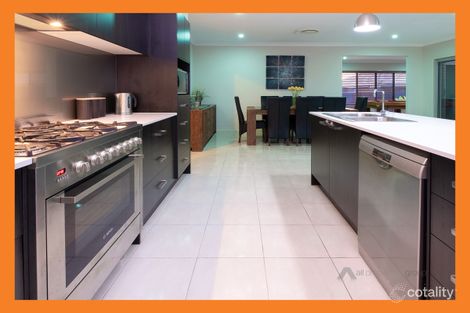 Property photo of 13 Barrington Circuit Waterford QLD 4133