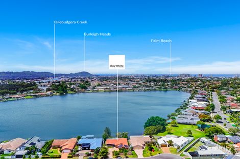 Property photo of 7 Acron Street Elanora QLD 4221