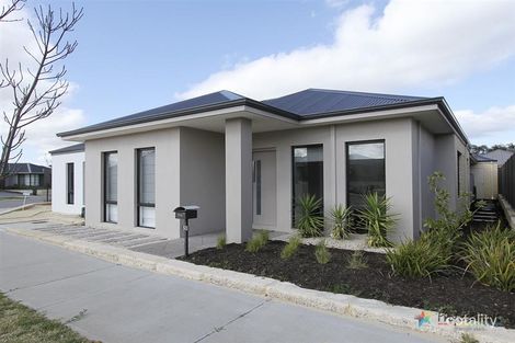Property photo of 50 Vellum Loop Aveley WA 6069