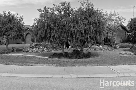 Property photo of 1 Comet Street Dudley Park WA 6210