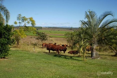 177 Ellerays Rd, Mcilwraith, QLD 4671