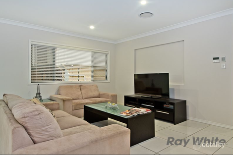 Property photo of 19 Victor Street Banyo QLD 4014