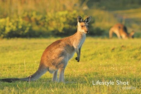 Property photo of 4 Garie Close Woolgoolga NSW 2456