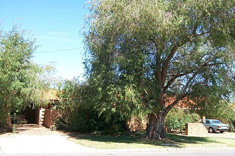 11 Canning Ave, Mount Pleasant, WA 6153