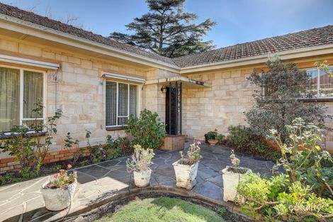 Property photo of 51 Devereux Road Linden Park SA 5065