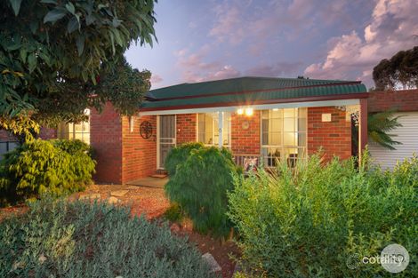 6/403 Humffray St N, Brown Hill, VIC 3350