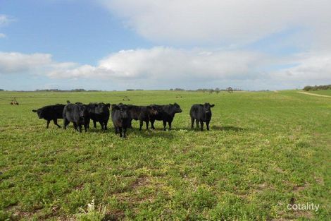 4112 Naracoorte Rd, Western Flat, SA 5268