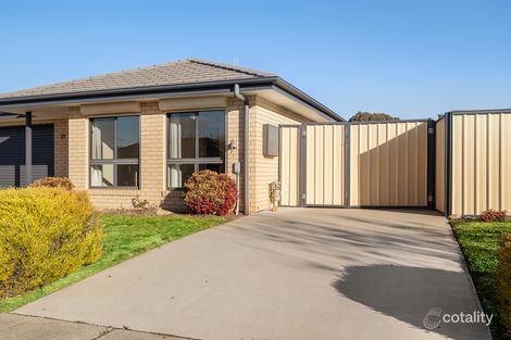 Property photo of 21 Rag Holmes Street Macgregor ACT 2615