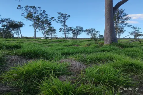 133 Price St, Kensington, QLD 4670