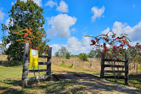 991 Mount Steadman Rd, Mount Steadman, QLD 4625