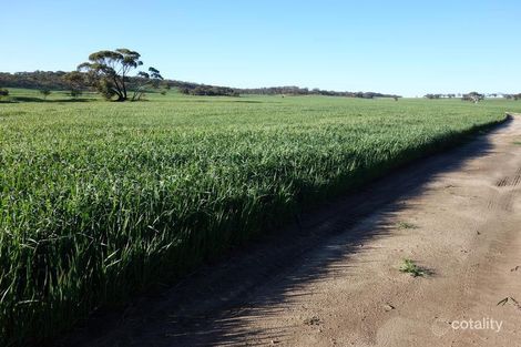 423 Carabin Rd, Codjatotine, WA 6308