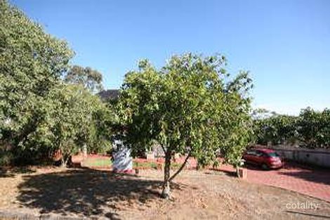 3 Warren Cres, Panorama, SA 5041