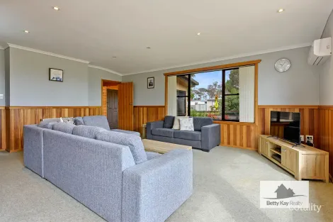 Property photo of 9 Honey Richea Road Hellyer TAS 7321