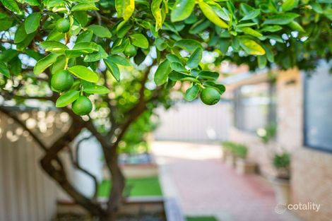 Property photo of 1/41 Pether Road Manning WA 6152