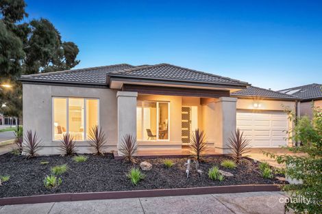 Property photo of 58 Grevillea Street Craigieburn VIC 3064