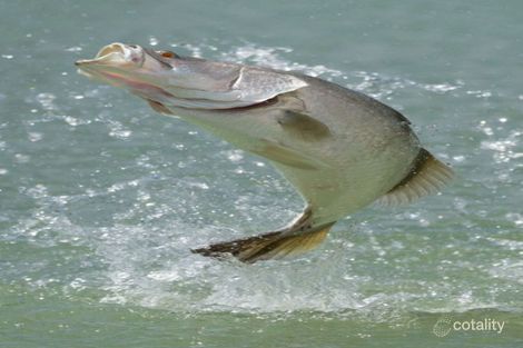 87 Worthington Rd, Turkey Beach, QLD 4678