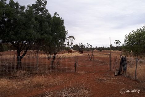 Property photo of 36 Cooper Road Kudla SA 5115