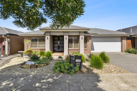 Property photo of 12 Golden Wattle Drive Mount Duneed VIC 3217