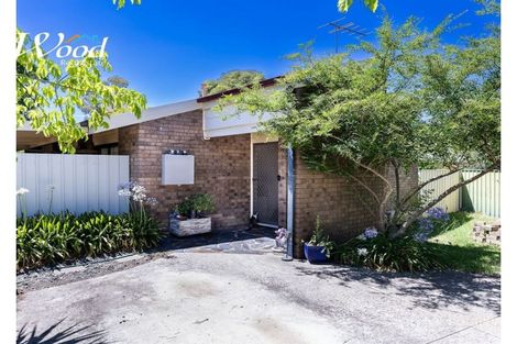 Property photo of 14 Gilbul Way Springdale Heights NSW 2641