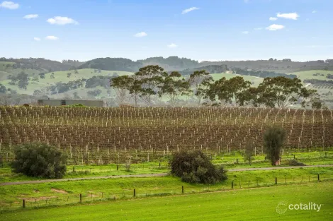Property photo of 17 Chapman Avenue McLaren Vale SA 5171