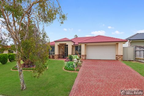 Property photo of 19 Downey Street Ormiston QLD 4160