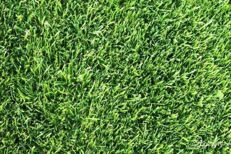 Property photo of 6 Marble Street Treeby WA 6164