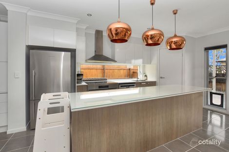 Property photo of 29 Madeira Street Springfield Lakes QLD 4300