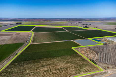 9972 Kidman Way, Willbriggie, NSW 2680